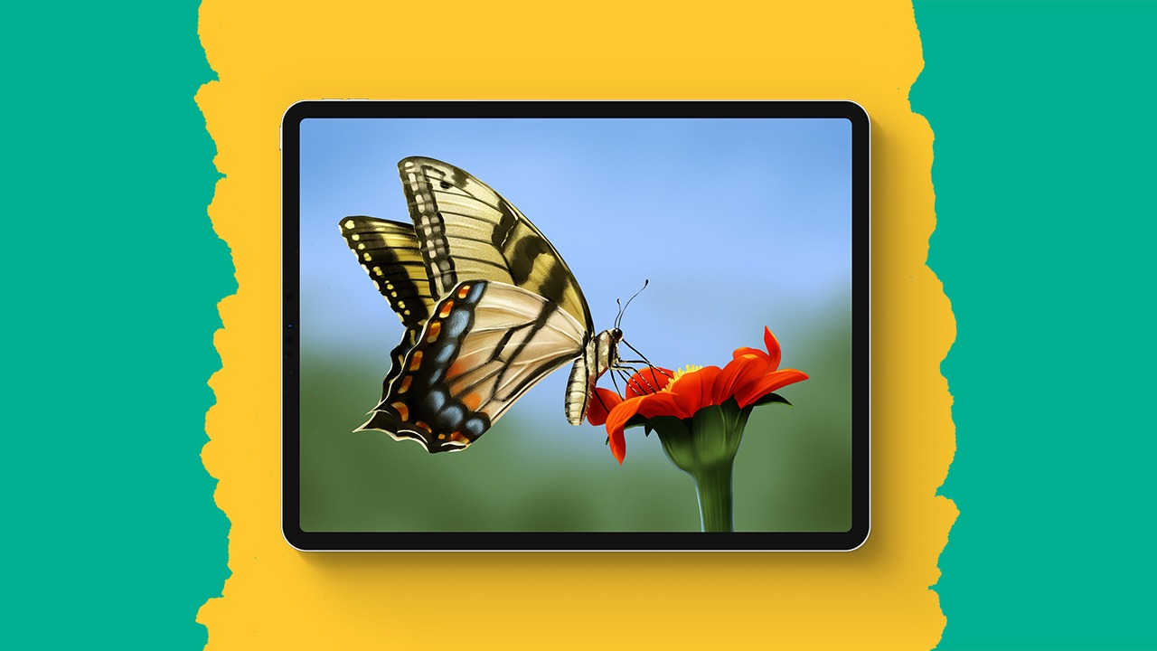Realistic Butterfly